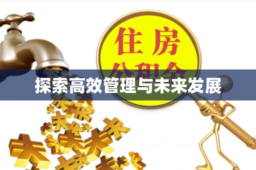 阳春探索高效管理与未来发展