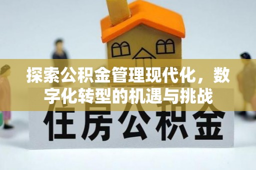 阳春探索公积金管理现代化，数字化转型的机遇与挑战