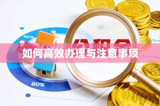 阳春如何高效办理与注意事项