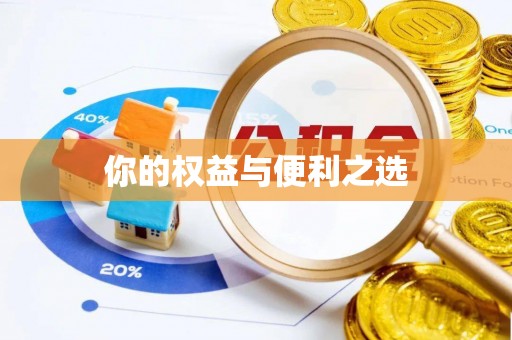 阳春你的权益与便利之选