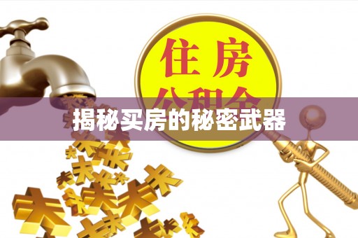 阳春揭秘买房的秘密武器