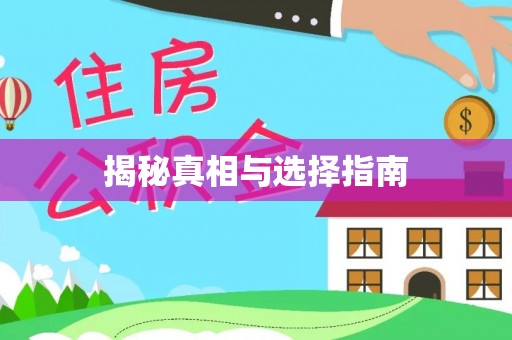 阳春揭秘真相与选择指南