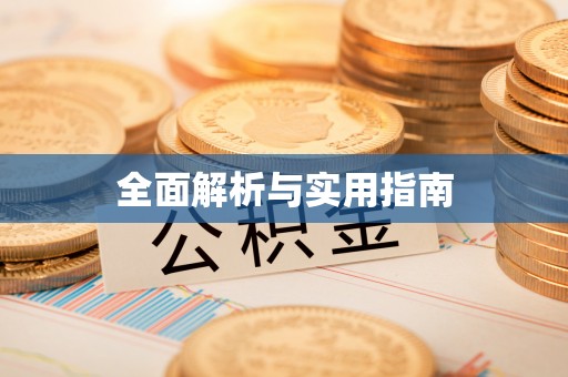 阳春全面解析与实用指南