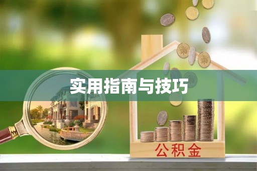 阳春实用指南与技巧