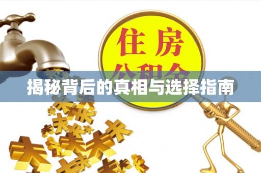 阳春揭秘背后的真相与选择指南