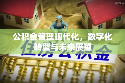 阳春公积金管理现代化，数字化转型与未来展望