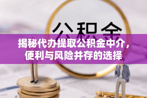 阳春揭秘代办提取公积金中介，便利与风险并存的选择