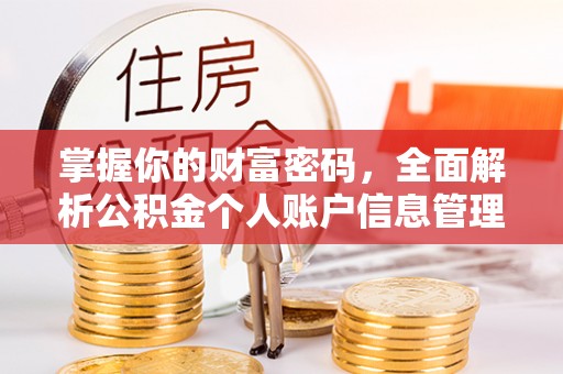 阳春掌握你的财富密码，全面解析公积金个人账户信息管理与优化