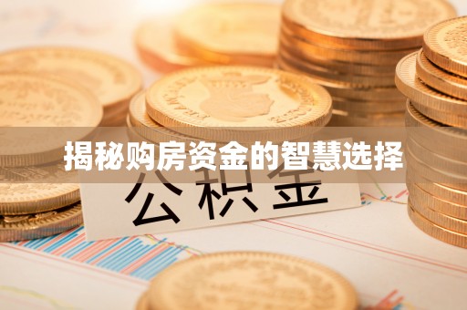 阳春揭秘购房资金的智慧选择