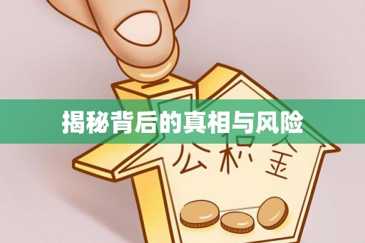 阳春揭秘背后的真相与风险