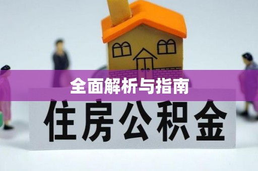 阳春全面解析与指南
