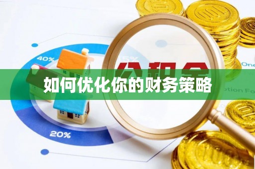 阳春如何优化你的财务策略
