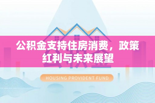阳春公积金支持住房消费，政策红利与未来展望