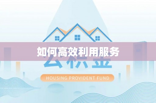 阳春如何高效利用服务