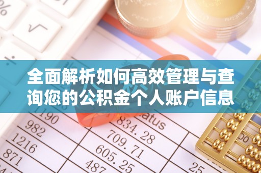 阳春全面解析如何高效管理与查询您的公积金个人账户信息