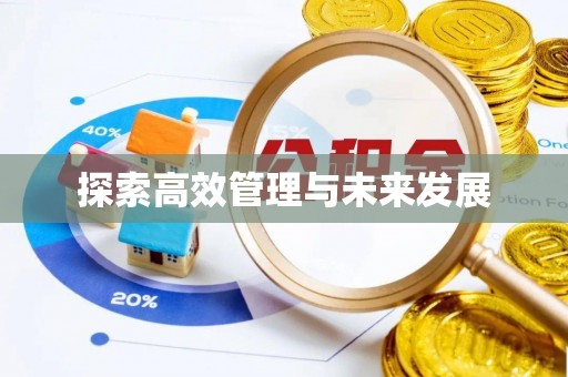 阳春探索高效管理与未来发展