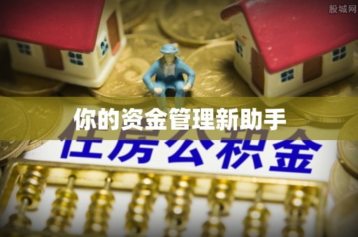 阳春你的资金管理新助手