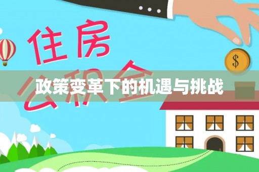 阳春政策变革下的机遇与挑战