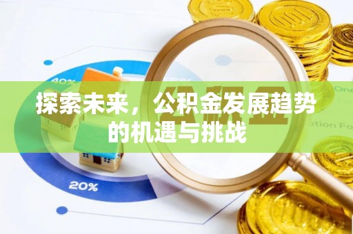 阳春探索未来，公积金发展趋势的机遇与挑战