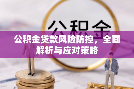 阳春公积金贷款风险防控，全面解析与应对策略