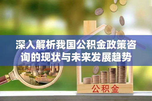 阳春深入解析我国公积金政策咨询的现状与未来发展趋势