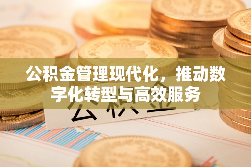 阳春公积金管理现代化，推动数字化转型与高效服务