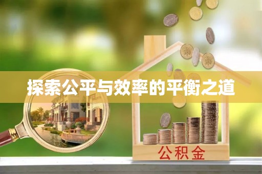 阳春探索公平与效率的平衡之道