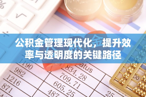 阳春公积金管理现代化，提升效率与透明度的关键路径