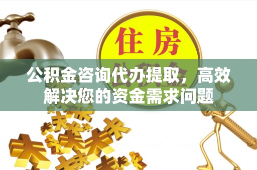 阳春公积金咨询代办提取，高效解决您的资金需求问题