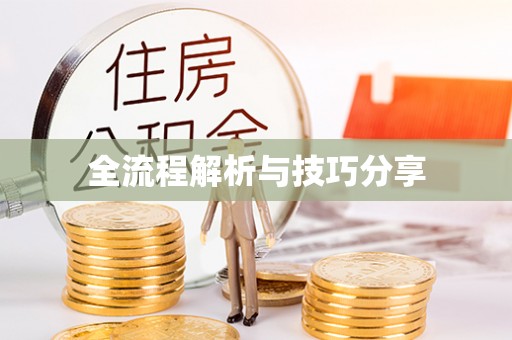阳春全流程解析与技巧分享