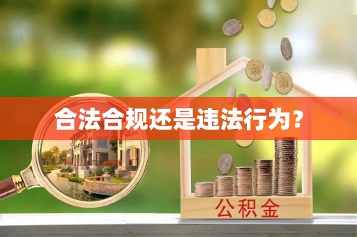 阳春合法合规还是违法行为？