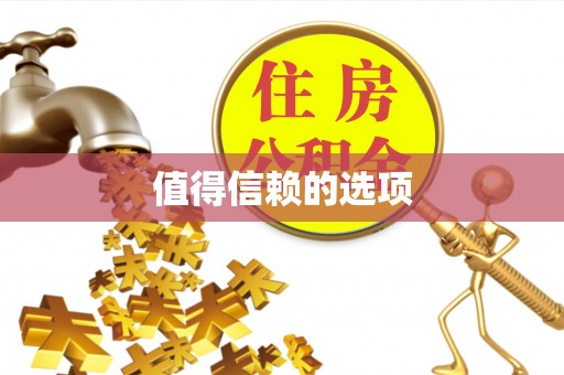 阳春值得信赖的选项