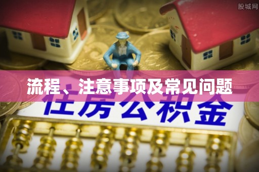阳春流程、注意事项及常见问题