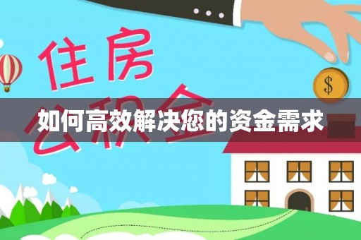 阳春如何高效解决您的资金需求