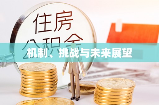 阳春机制、挑战与未来展望